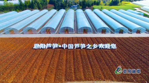 夯實(shí)發(fā)展根基 繪就城鄉(xiāng)融合新畫(huà)卷——全市“三區(qū)同建”暨一季度重點(diǎn)項(xiàng)目建設(shè)現(xiàn)場(chǎng)推進(jìn)會(huì)走進(jìn)恩陽(yáng)區(qū)側(cè)記